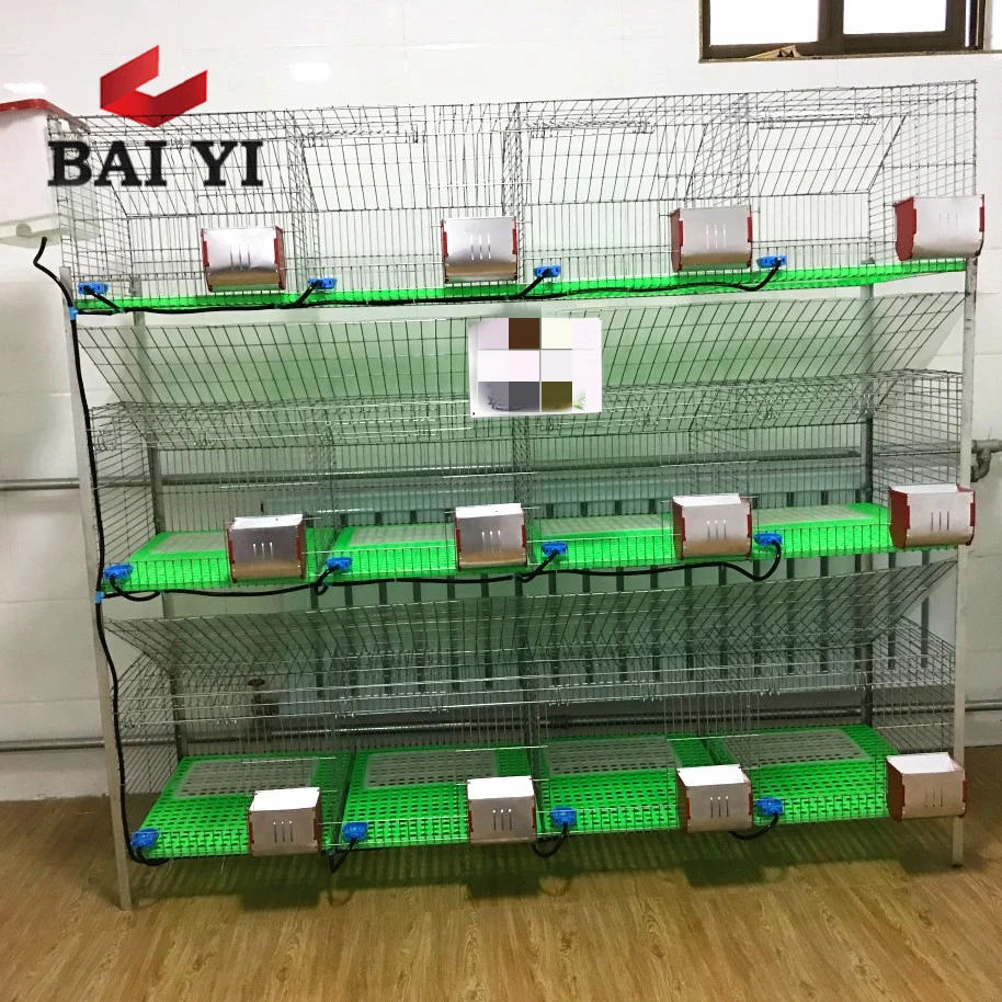 3 story fattening rabbit cages in camera for sale cheapest
