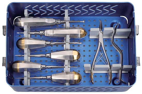 Veterinary Small Animal Dental Instruments Kit