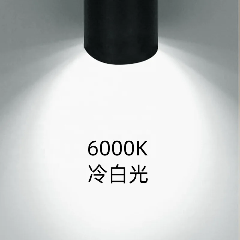 smart Tuya Wifi Zigbee BT 10W 20w 30W rgb rgbw wrgb tunable white track light adapter european home spot light