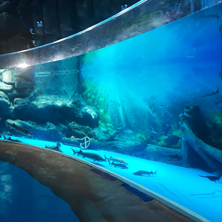 Fancy Clear Unique Customized Oceanarium Acrylic Aquarium Project, Most Popular Clear Aquariums Fish Tanks Small Large Acrylic@
