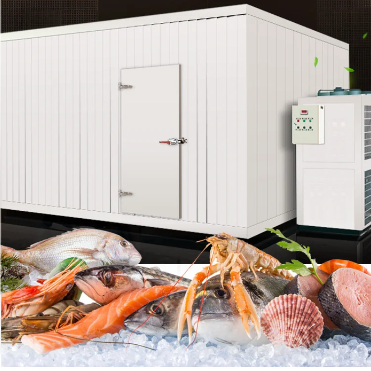 New Product Container Price Sale Freezer Mini Refrigeration Storage Fish Commercial Cold Room
