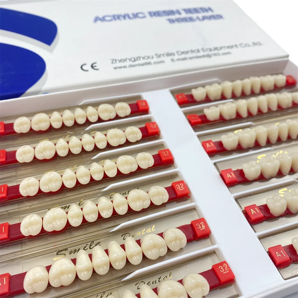 3-Layer Dentures Dental Posteriors Acrylic Resin Teeth Synthetic Teeth