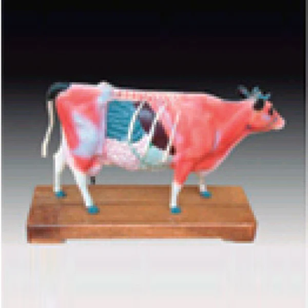 ADA Medical Teaching Horse acupuncture model and Cattle acupuncture model for Disease Demonstration Medical Teaching Tool
