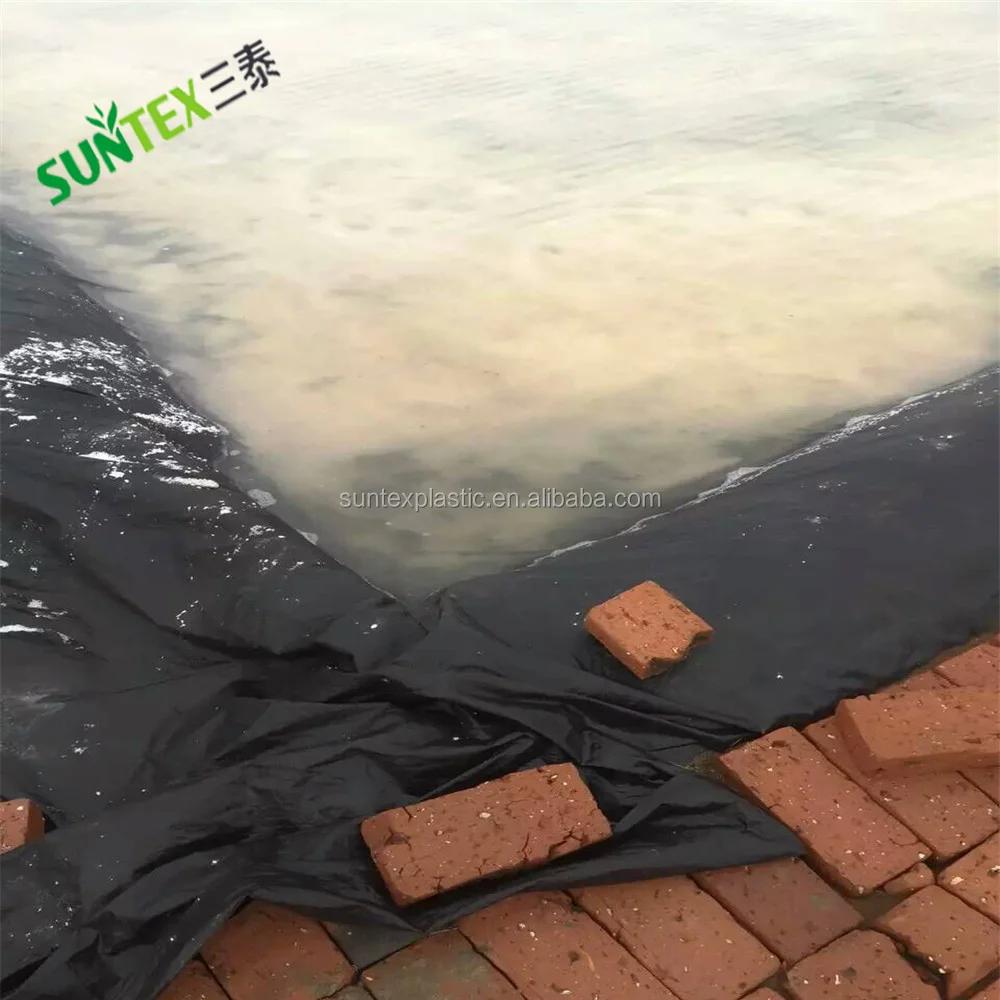 Fish Farming Liner RPE Water Reservoir 0.75mm Geomembranes Pond Liner for Aquaculture