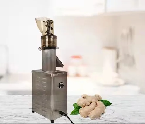 Stainless Steel Pear Apple Orange Ginger Juice Machine