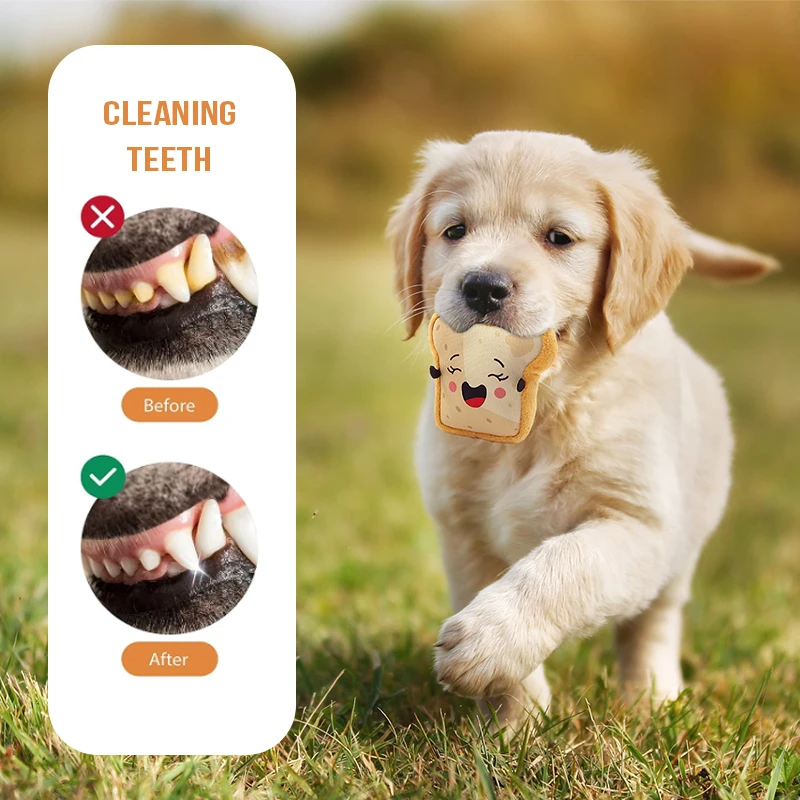 Luxury Design Chewing Small Puppy Squeaky Dog Toys Food Cute Interactive Stuffed Plush Crinkle Durable Dog Chew Toy for Dogs