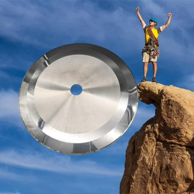 Dete Stainless steel blade customized food machinery blade round knife sawtooth blade for cutting food