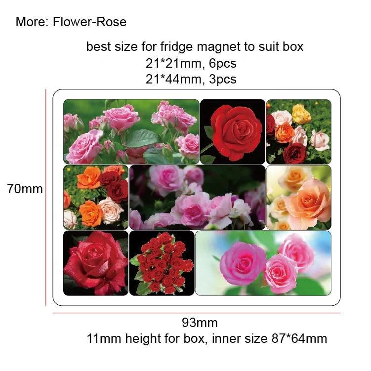 RTS epoxy magnet-017.jpg