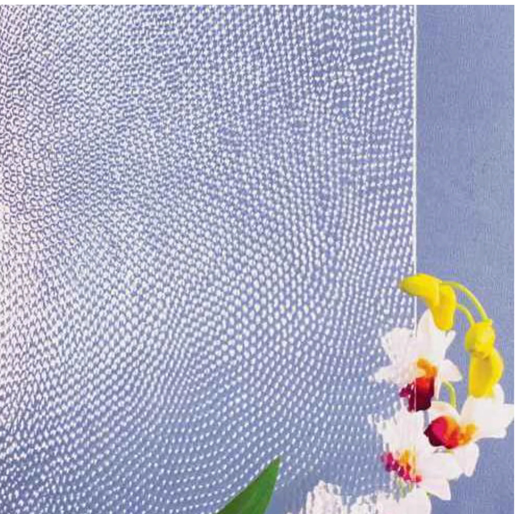 Coated Rain Patterned Figured Glass For Home Decoration