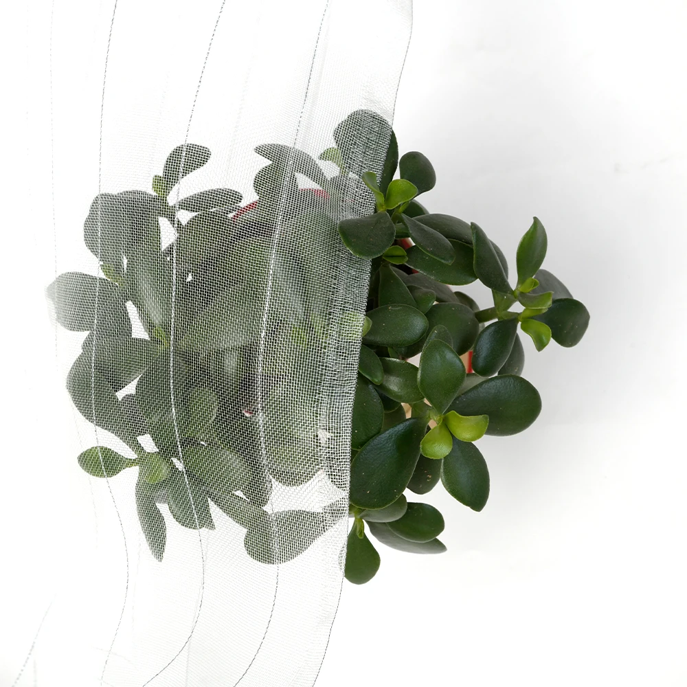 hdpe 55g insect proof net agricultural plastic net vegetable farm insect net