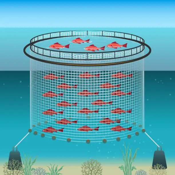 HDPE Floating Fish Cage Tropical Offshore Deep Sea Circular Aquaculture Cage