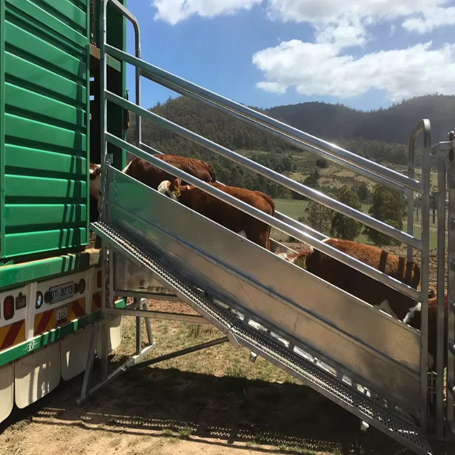 High Quality Farm Livestock Cattle Yard Cattle Loading Ramp Galvanized Steel Loading Ramp for Cattle