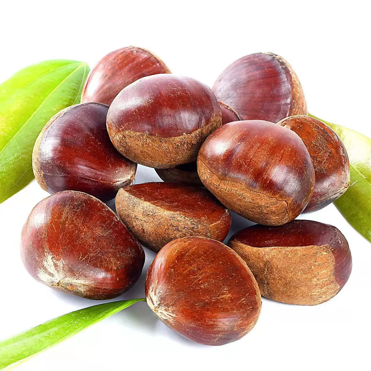 Chestnut And Nuts For Export And First Quality Chestnut From China