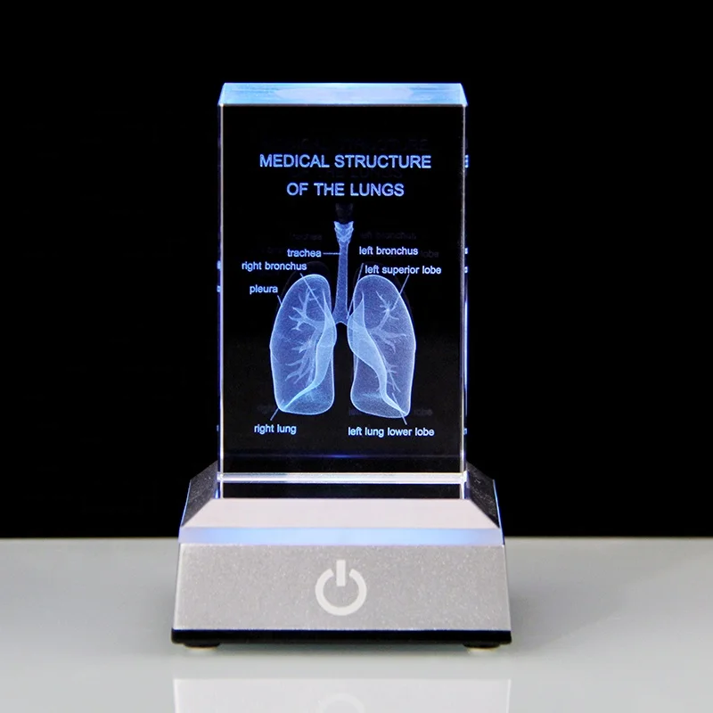 3D Crystal Human Lungs Skeleton Block Laser Engraved Glass Cube for Medical Students Science Biology Doctor Gift