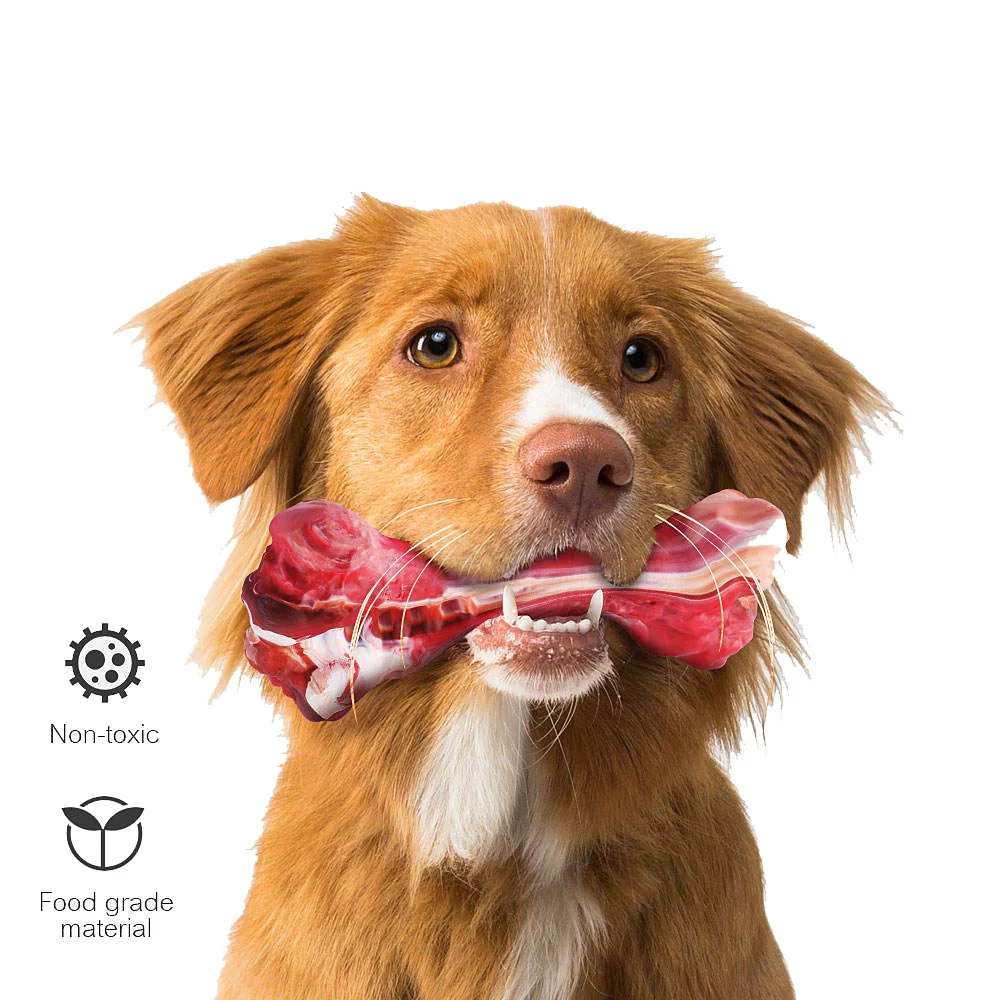 eco friendly bone pet chew durable nylon s toys set dogs rubber toothbrush toy for dog dental health