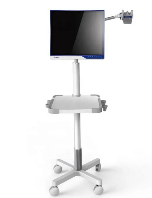 Veterinary  Video Fible Endoscopes System,All in one Portable Video colonoscopy in dogs and cats Qquine