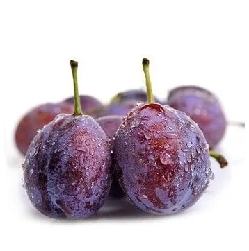 Excellent quality 100% natural fresh stone fruit class A Australian fresh plum