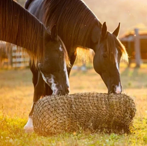 Equestrian supplies Hay net bag Model can be customized PE nylon horse feeding net