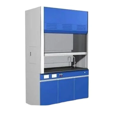 Wholesale Customized Laboratory Workbench Laboratory Equipment Lab Fume Hood
