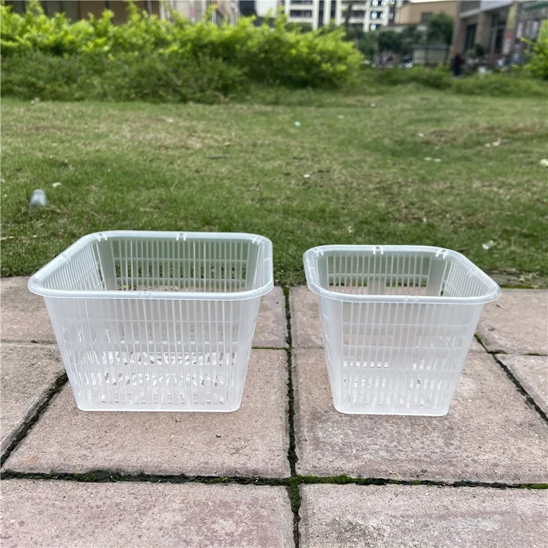 Phalaenopsis Square Planting Basket Garden Pots Clear Plant Net Mesh Pots Orchid Planter Pots Plant Container Transparent clear