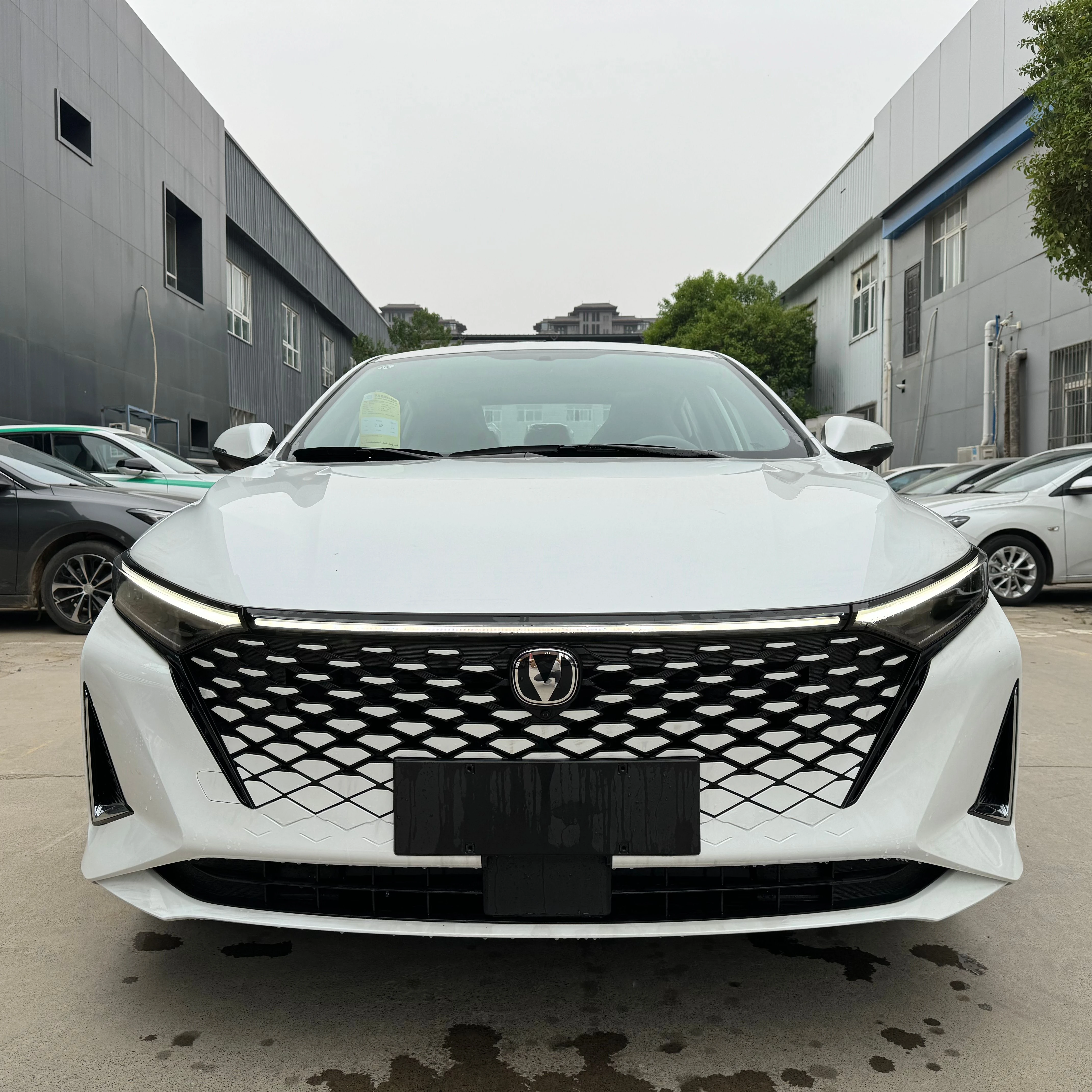 2023 CHANGAN Raeton Plus седан Лидер продаж 4-дверный 5-местный бензиновый автомобиль 1 5 т передний привод (FWD) R16 Euro VI с 7-ступенчатым DCT