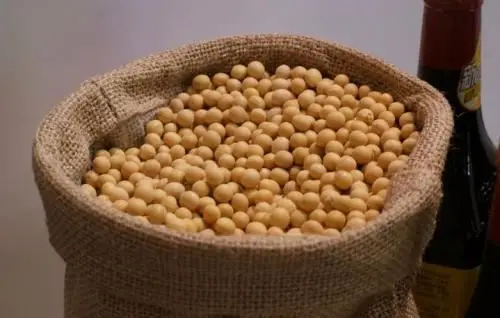 Superior Natural Agricultural Product Organic Quality Soybean