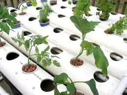 Hot Sale Hydroponic Container System for Greenhouse