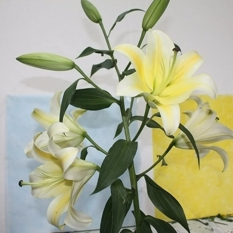 Natural Real Touch Lilium Yellow Lily For Cut Flower Wholesale