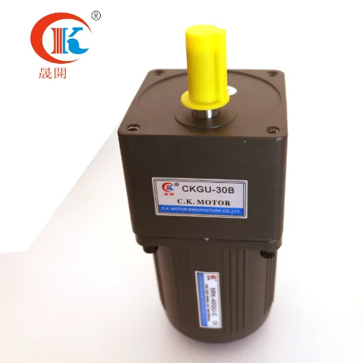 Single-phase reduction induction motor reversible speed motor RK type
