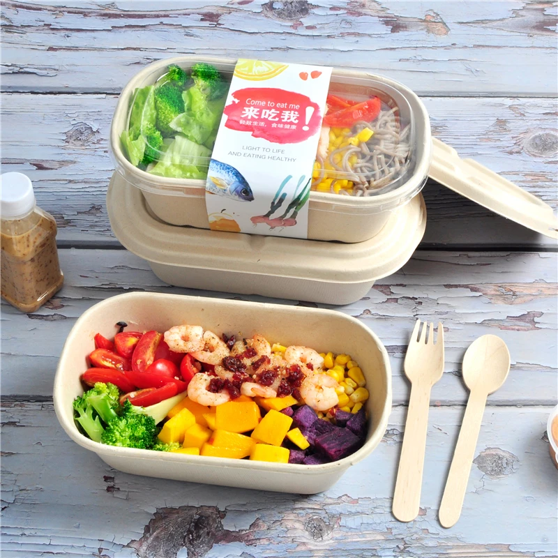 SenAng05 Cheap Single Compartment Compostable Clamshell Container Oval Microwave Safe Bagass Pulp Lunch Box