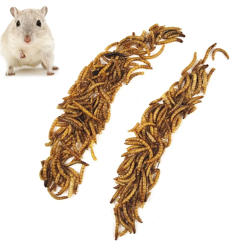 Mealworm желтый mealworm с высоким содержанием белка птица черепаха хомяк специальная закуска червь высушенная еда