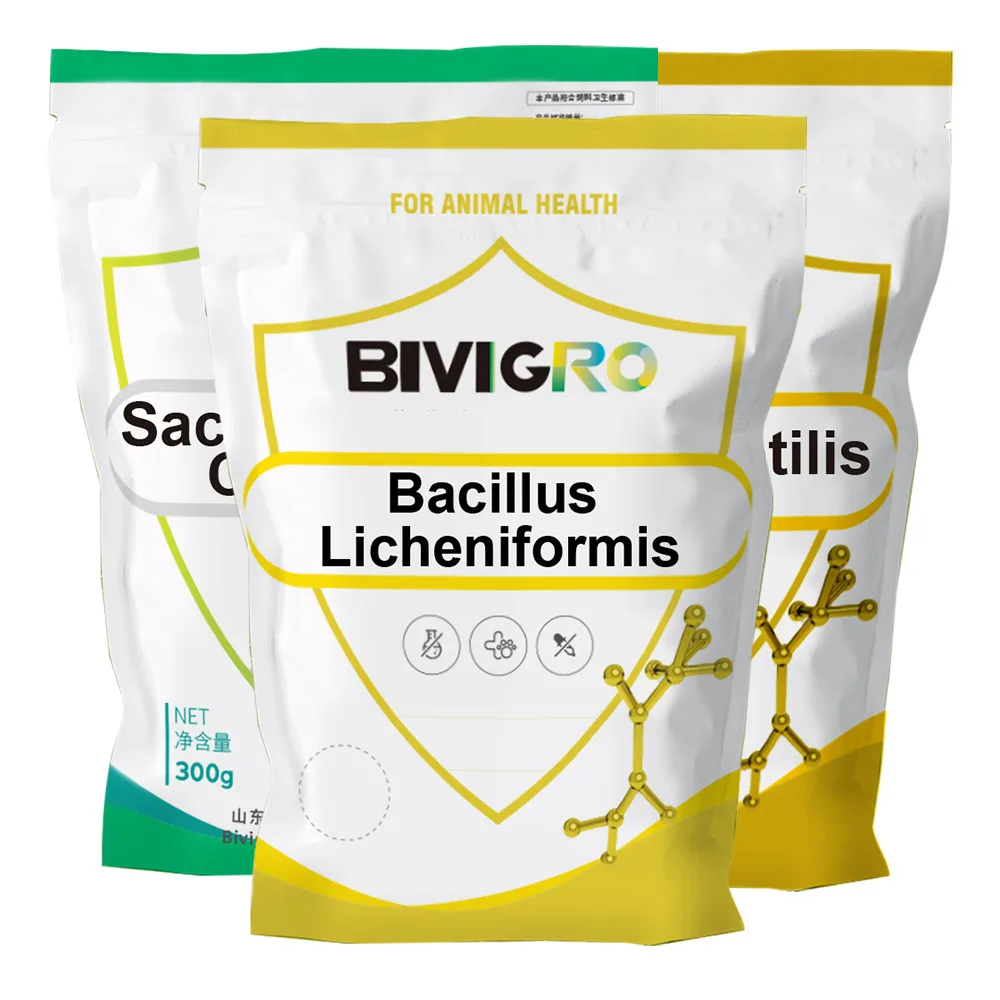 High Actitivty Feed Pig Probiotic Bacillus Subtilis Bacillus Licheniformis Yeast 1x10^11 cfu/g