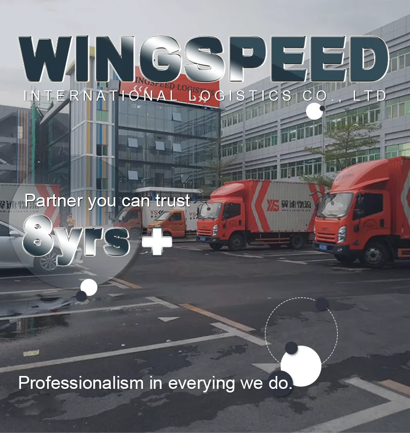 20 Feet Shipping Container Dhl Shenyang --Skype:+18617073418