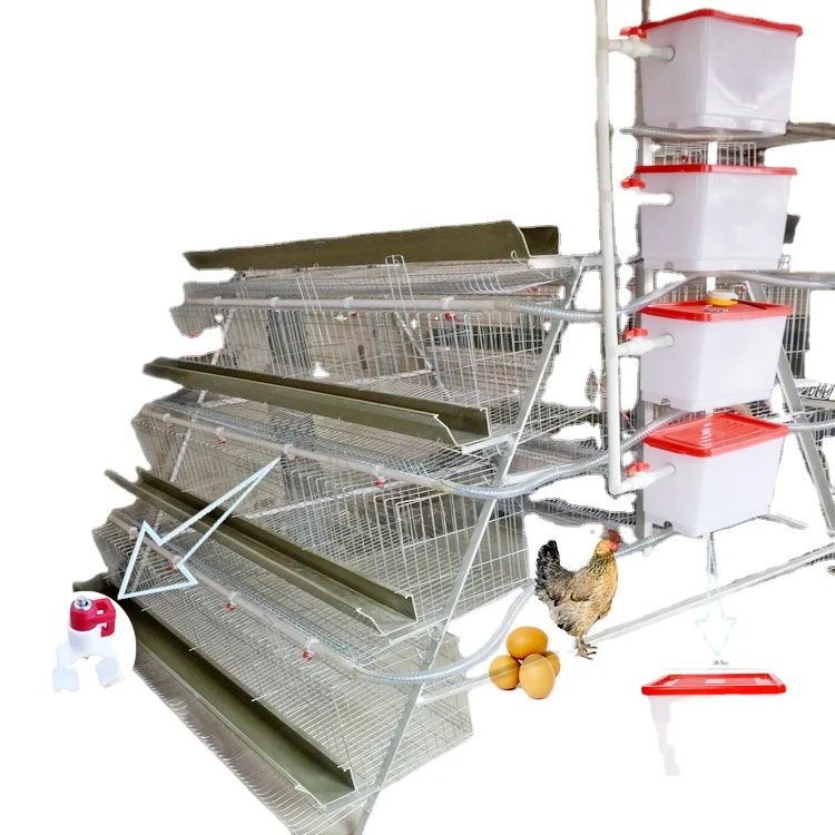 A type laying hens chicken cage battery cage with nipple system poultry chicken cage for  Berin farm