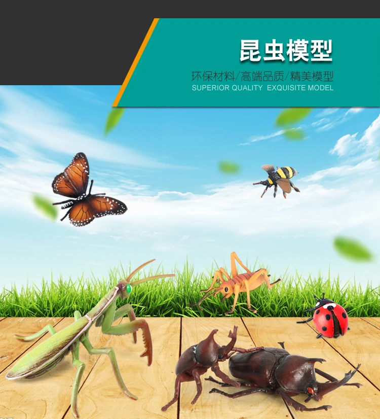 Оптовая продажа, твердые ПВХ модели, жук, пчела, паук, Бабочка, насекомые, фигурки, насекомые, фигурки животных, игрушки