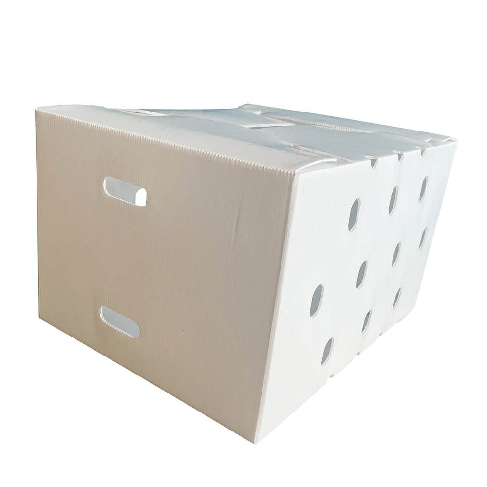 Hot Sale PP Plastic Hollow Sheet Fruit Box Fresh Okra Vegetable Packing Corrugated PP Box Cherry Boxes