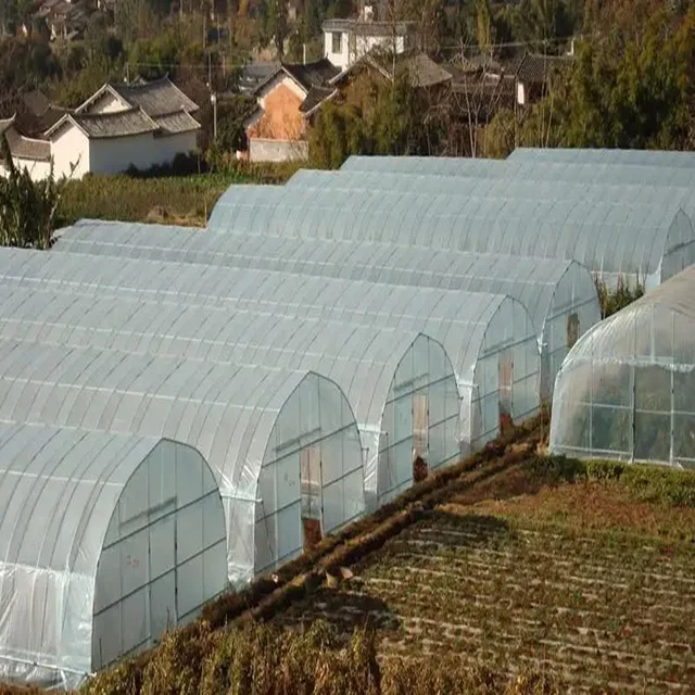 Low price greenhouse plastic film agriculture products green house metal frame on sale