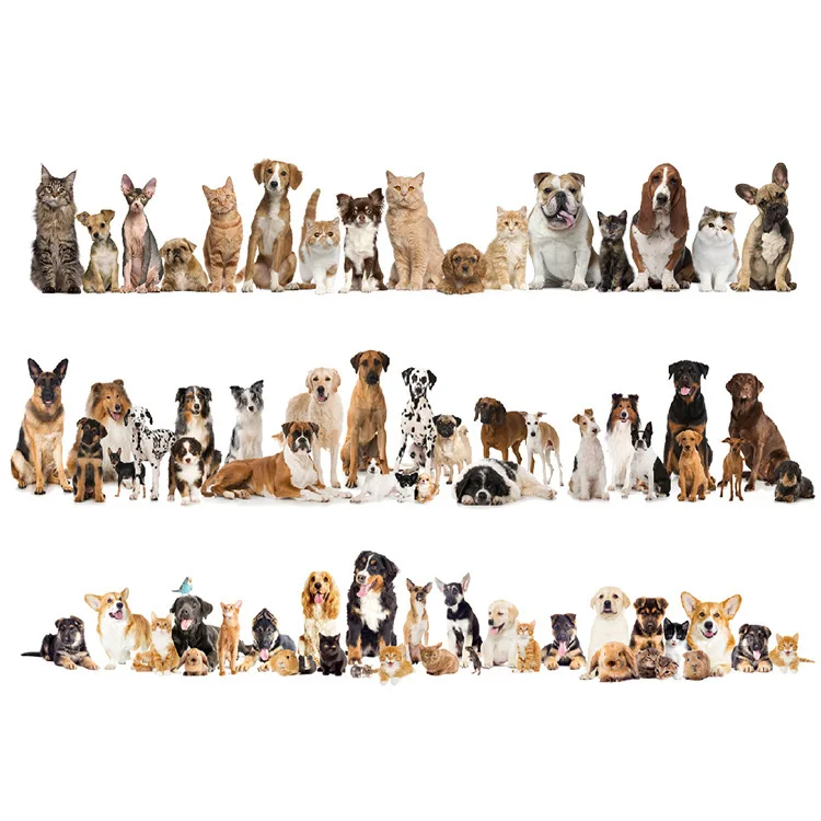 Creative simulation kitten dog skirting cartoon wall sticker bedroom background wall self-adhesive waterproof wallpaper