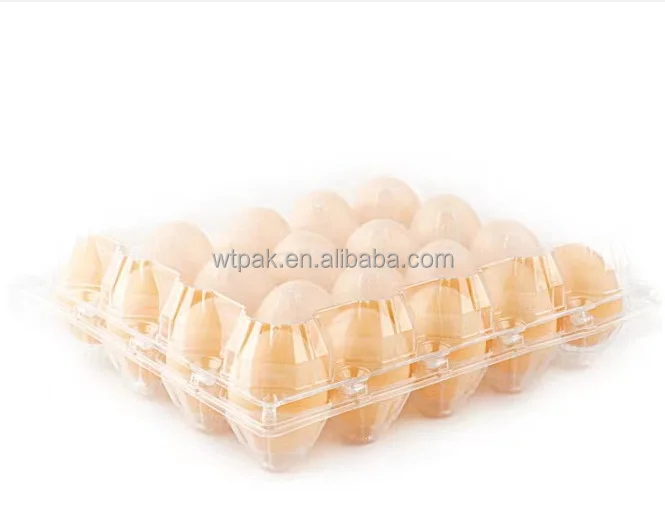 Factory Direct Supply Wholesale Customized Plastic Egg Holder Container