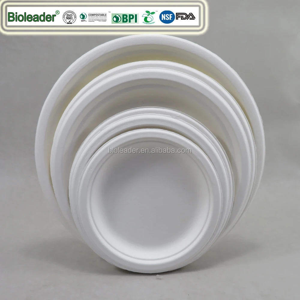 Biodegradable Sugarcane Bagasse 10x10 Inch Square Plates