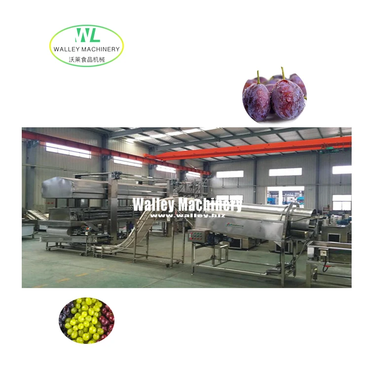 Factory Supply Price Industrial Prunes Washing And Disinfecting Production Line Pure Drying Line Raisin Plum Fashioning
