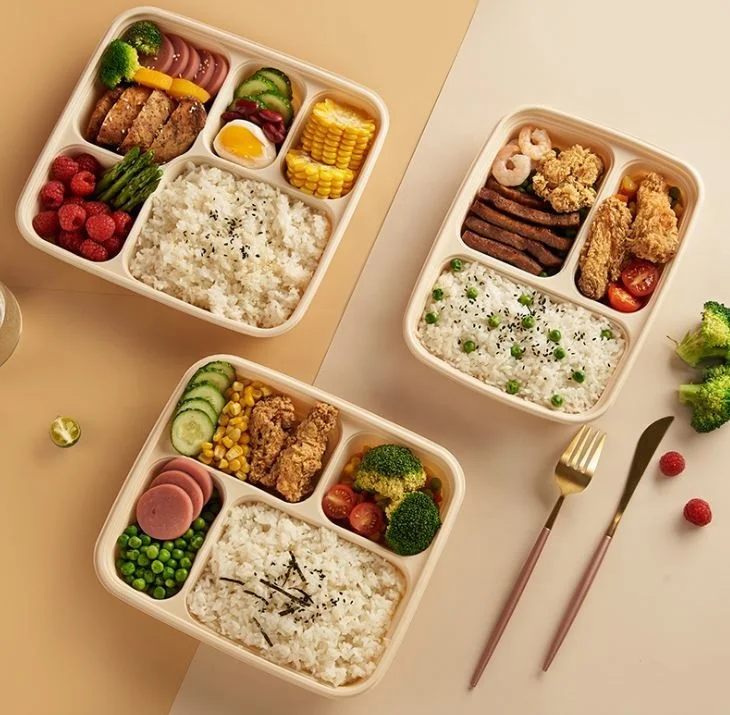 Compostable Disposable Corn Starch Food Container Cornstarch Takeout Takeaway Lunch Box Food Container