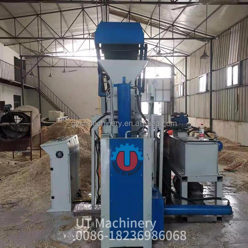 mtw-53445601