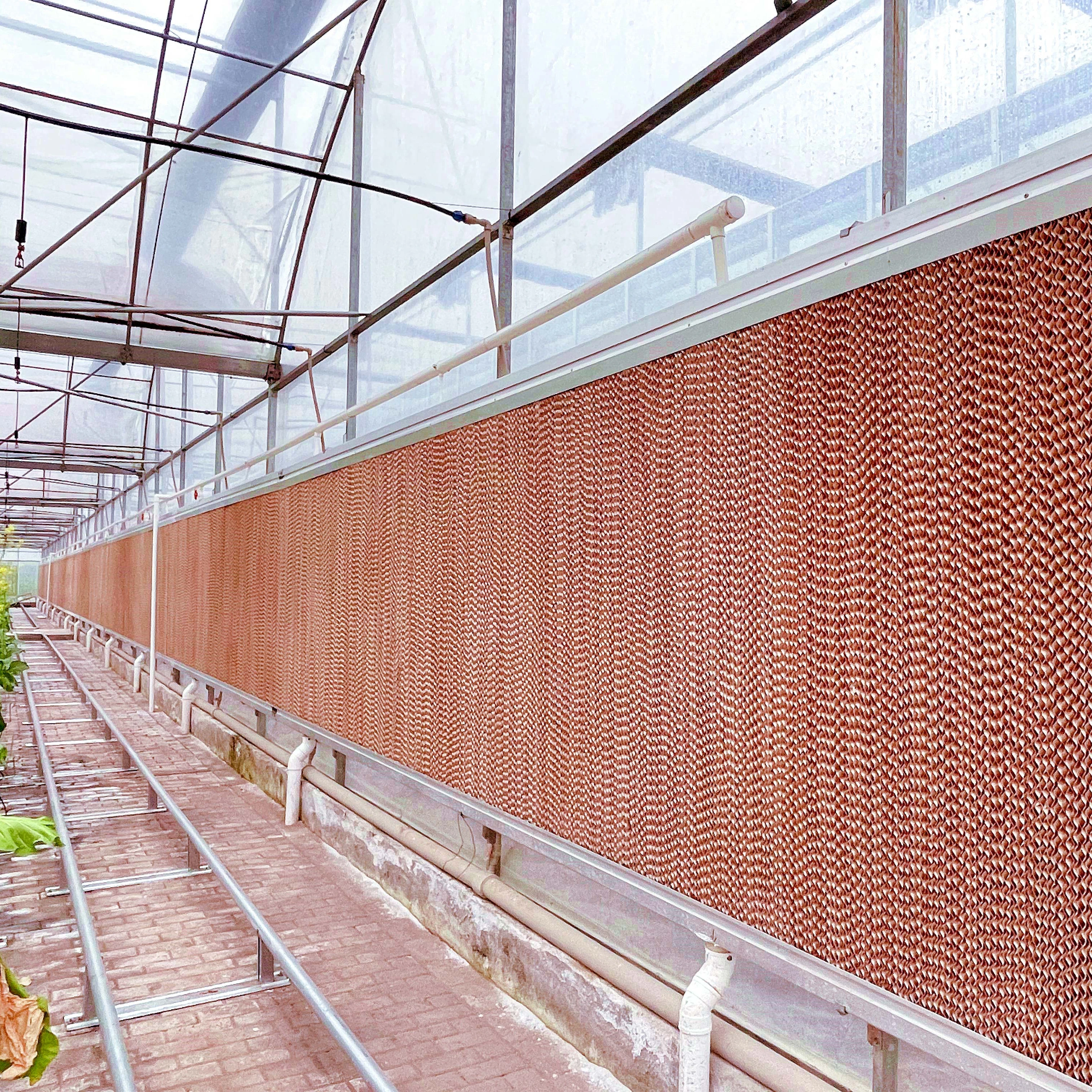 Maxpower Best Quality Greenhouse Cooling Pad Wall Rose Flower Greenhouse