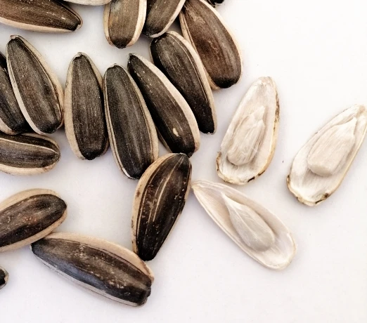 
2021 Crop high top chinese inner mongolia original taste sunflower seeds363 361 601 5009 walnut pumpkin seeds 