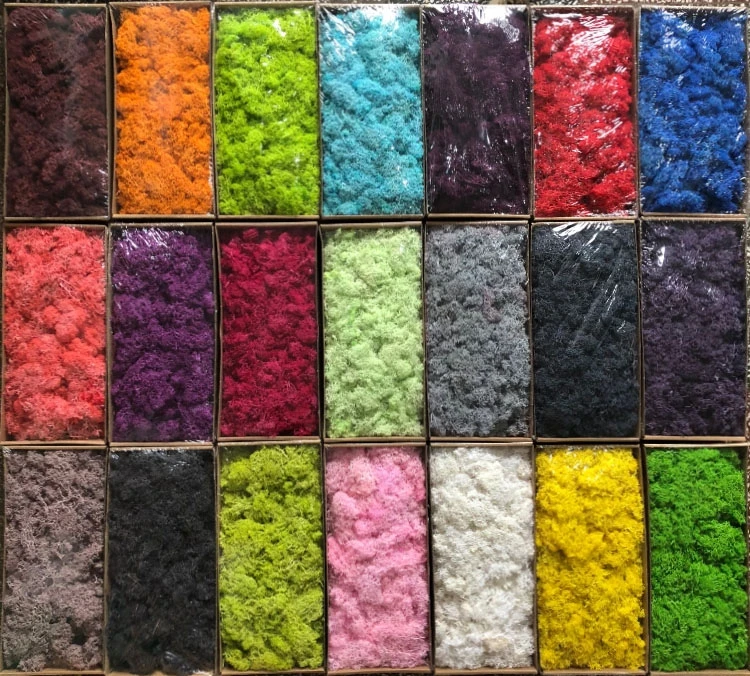 
Yunnan popular real preserved flowers natural moss for moss wall decor 