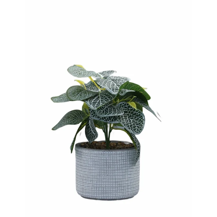 Custom Size Flower Indoor Long Round Plant Ceramic Pot