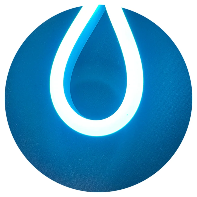 6mm 8mm 10mm DC12V DC24V silicone luce pixel rgb mars lake blue color neon flex led strip light for custom logo led neon sign