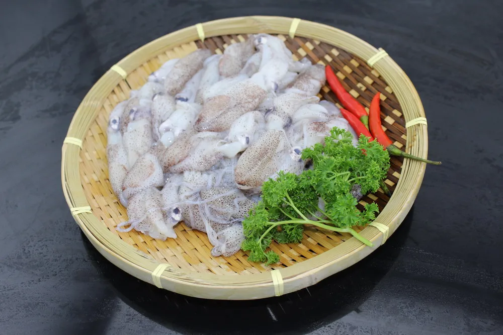 
frozen chinese squid loligo squid good quality squid 