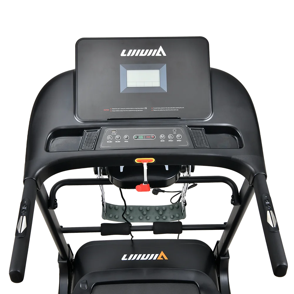 Lijiujia Indoor Use Gym 2.5HP Motor Power Treadmill Max User Weight 130kg Multi Function Running Machine